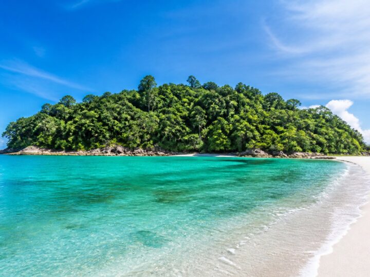 Ilha do Cedro: Dicas, Passeios e Como Aproveitar Este Paraíso
